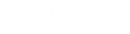 Logo Spedition Nussbaum